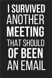 I Survived Another Meeting That Should of Been an Email