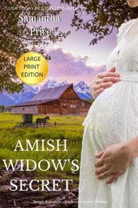 Amish Widow's Secret LARGE PRINT