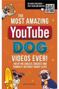 The Most Amazing Youtube Dog Videos Ever!