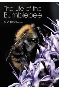 The Life of the bumblebee