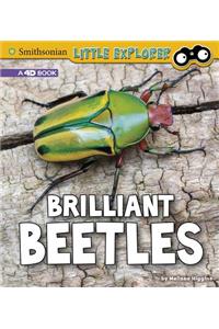 Brilliant Beetles