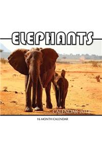 Elephants Calendar 2018