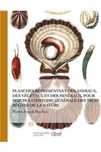 Premiere (Seconde) Centurie de Planches Enluminees