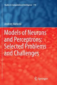 Models of Neurons and Perceptrons: Selected Problems and Challenges