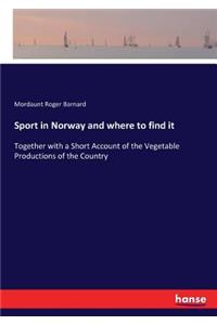 Sport in Norway and where to find it