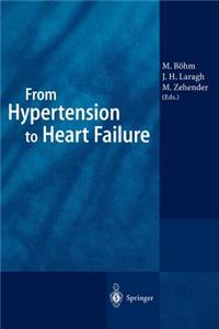 From Hypertension to Heart Failure