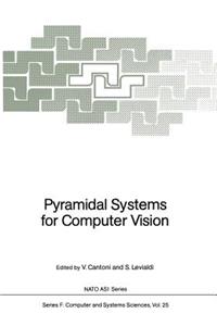 Pyramidal Systems for Computer Vision