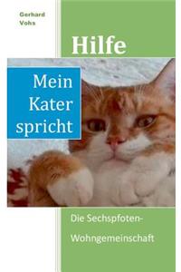 Hilfe, mein Kater spricht