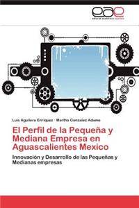 Perfil de la Pequeña y Mediana Empresa en Aguascalientes Mexico