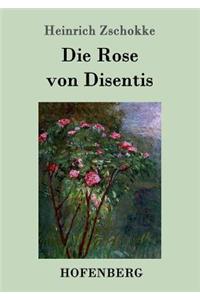 Die Rose von Disentis