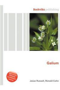Galium