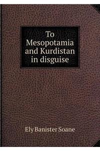 To Mesopotamia and Kurdistan in Disguise