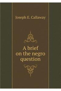 A brief on the negro question