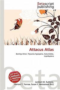 Attacus Atlas