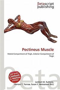 Pectineus Muscle