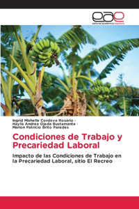 Condiciones de Trabajo y Precariedad Laboral