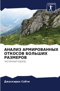 &#1040;&#1053;&#1040;&#1051;&#1048;&#1047; &#1040;&#1056;&#1052;&#1048;&#1056;&#1054;&#1042;&#1040;&#1053;&#1053;&#1067;&#1061; &#1054;&#1058;&#1050;&#1054;&#1057;&#1054;&#1042; &#1041;&#1054;&#1051;&#1068;&#1064;&#1048;&#1061; &#1056;&#1040;&#1047