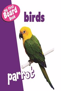 My First Board Book Birds