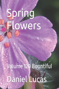 Spring Flowers