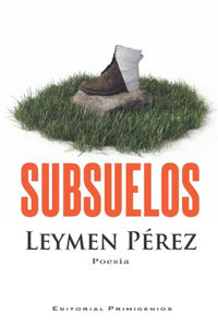 Subsuelos