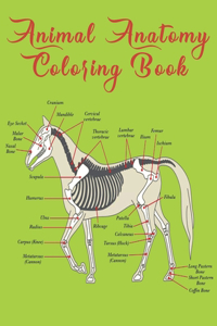 Animal Anatomy Coloring Book