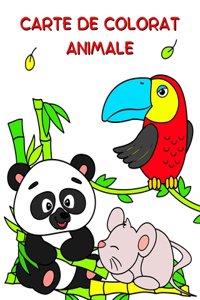 Carte de Colorat Animale