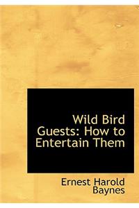 Wild Bird Guests