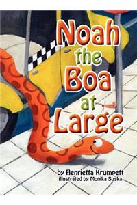 Noah the Boa at Large