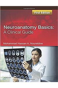 Neuroanatomy Basics: A Clinical Guide