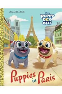 Puppies in Paris (Disney Junior: Puppy Dog Pals)