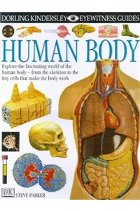 Human Body (Eyewitness Guides)