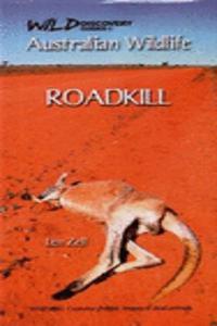 Australian Wildlife - Roadkill