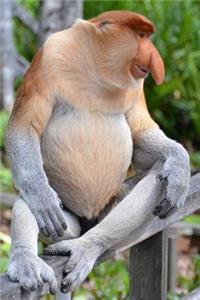 Proboscis Monkey is Amused Journal