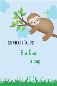 So Much to do But First a Nap