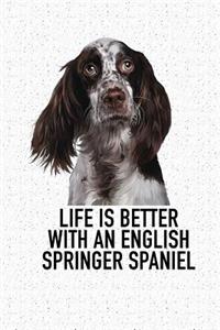 Life Is Better with an English Springer Spaniel