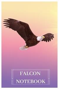 Falcon Notebook
