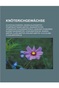 Knoterichgewachse: Echter Buchweizen, Wiesen-Sauerampfer, Stumpfblattriger Ampfer, Wasserpfeffer, Japanischer Staudenknoterich, Gemeiner