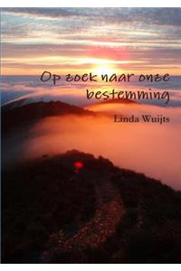 Op zoek naar onze bestemming