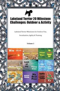 Lakeland Terrier 20 Milestone Challenges