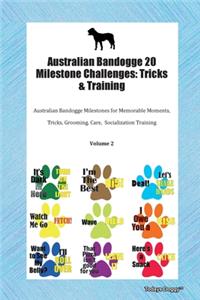Australian Bandogge 20 Milestone Challenges