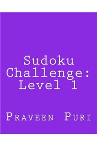 Sudoku Challenge