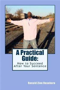 Practical Guide
