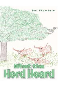 What the Herd Heard