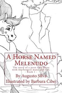 Horse Named Melenudo