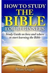 How to Study the Bible for Beginners