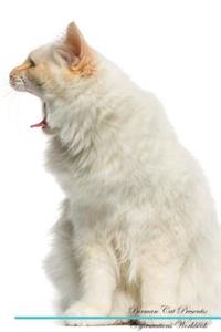 Birman Cat Affirmations Workbook Birman Cat Presents