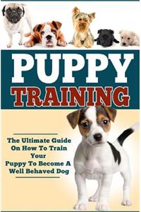 Puppy Training