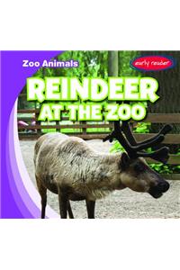 Reindeer at the Zoo