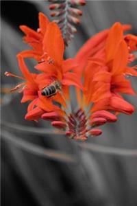 Flower Bee Journal