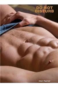 Do Not Disturb